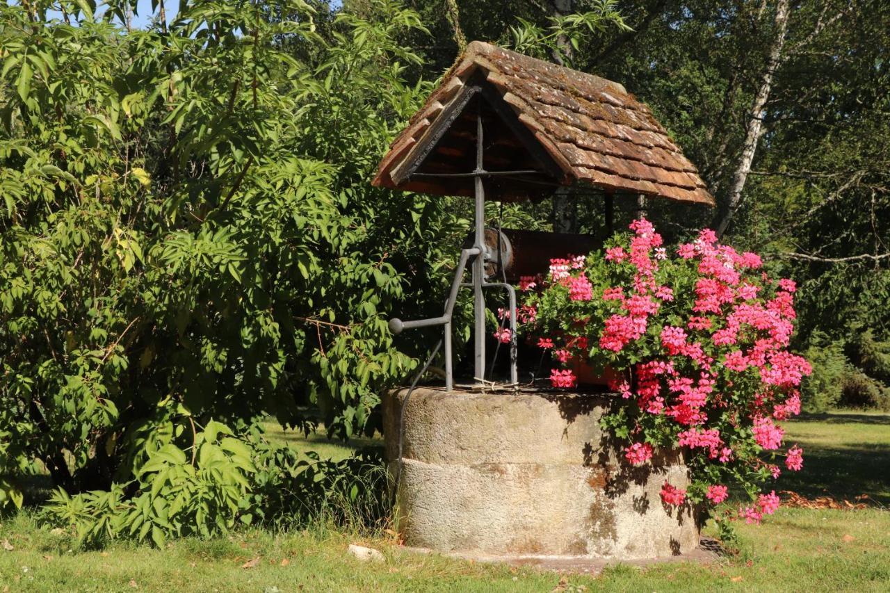 Les Bruyeres Bed and Breakfast Méry-sur-Cher Εξωτερικό φωτογραφία