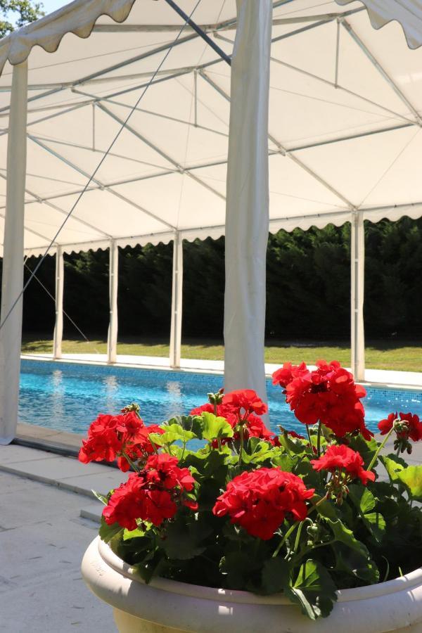 Les Bruyeres Bed and Breakfast Méry-sur-Cher Εξωτερικό φωτογραφία